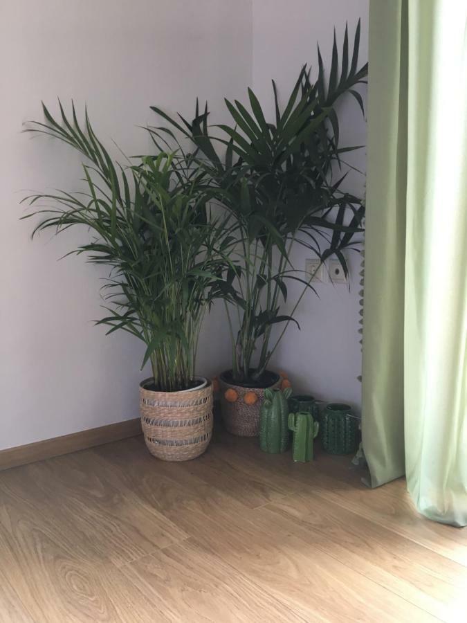Olive Tree Cottage 2 Néa Péramos 外观 照片