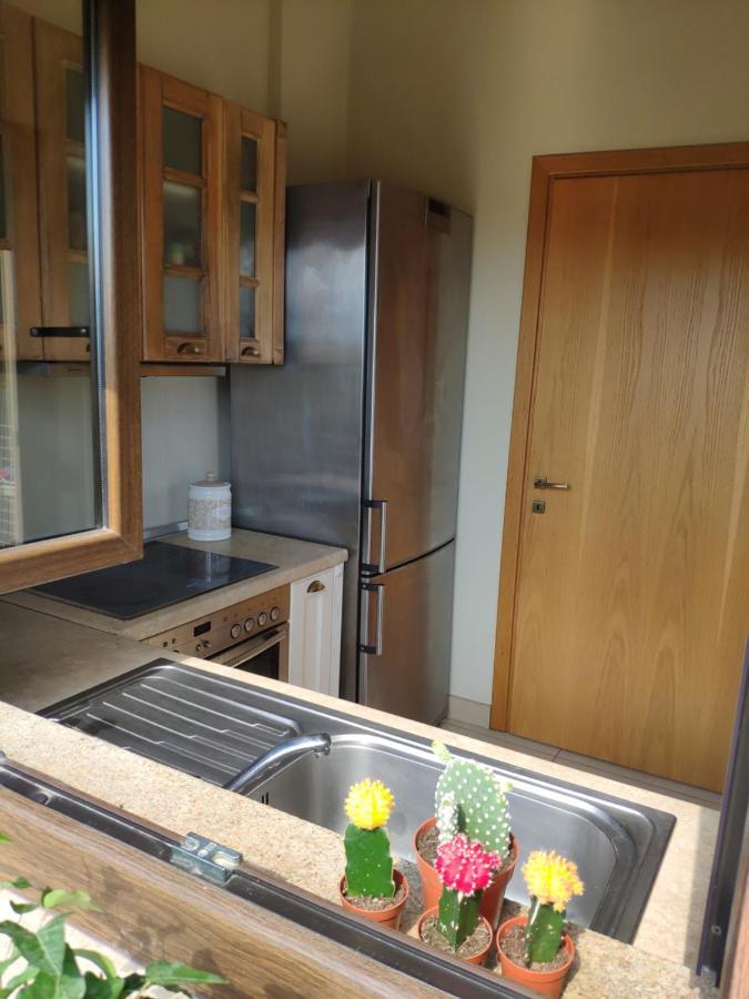 Olive Tree Cottage 2 Néa Péramos 外观 照片