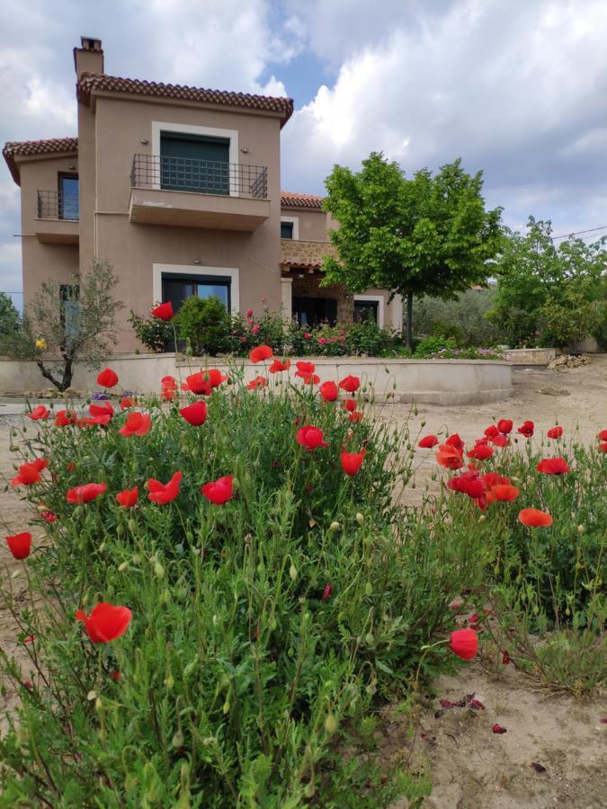 Olive Tree Cottage 2 Néa Péramos 外观 照片